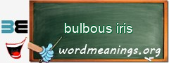 WordMeaning blackboard for bulbous iris